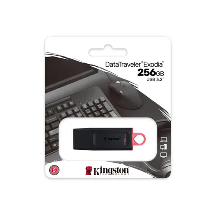 256GB USB3.2 Gen1 DataTraveler Exodia (B